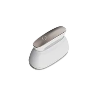 Garment Steamer